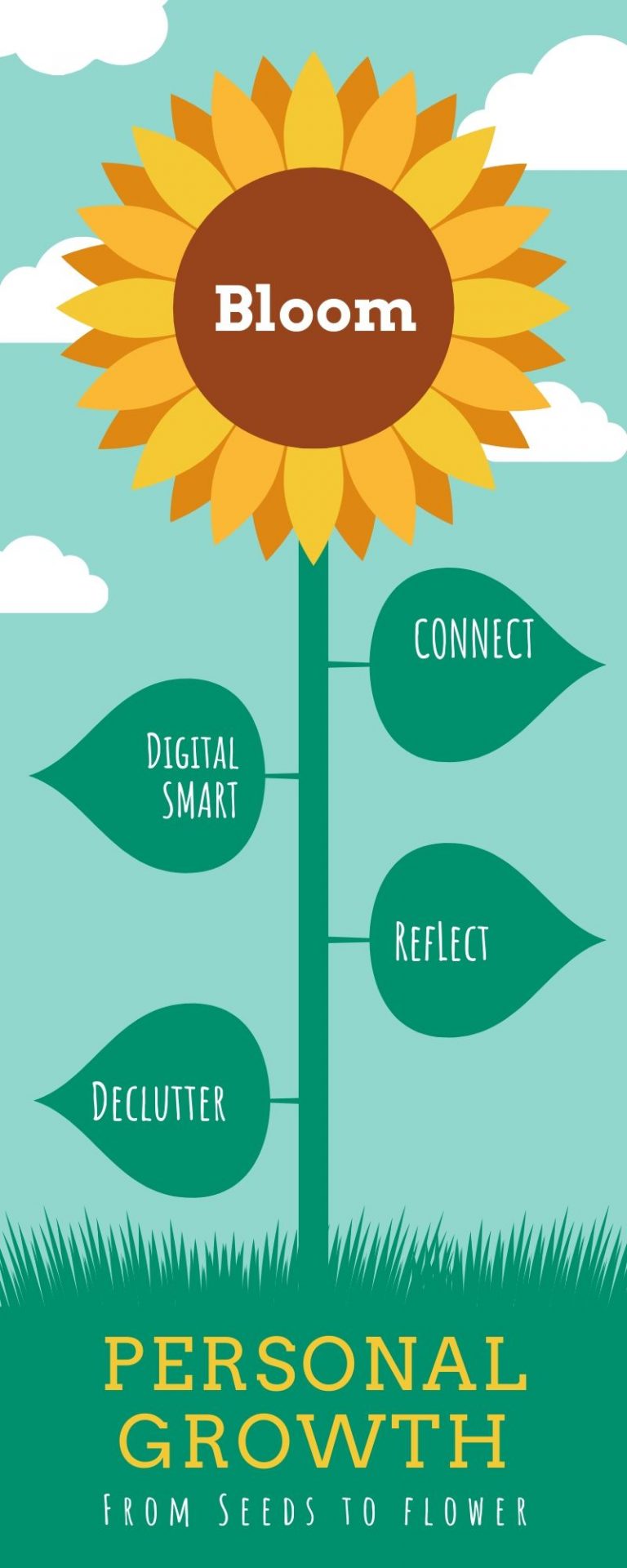 Seed to Flower Timeline Infographic 4 - Orchid Creative